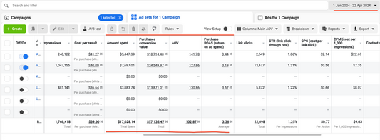 Fashion Store Success with Facebook Ads